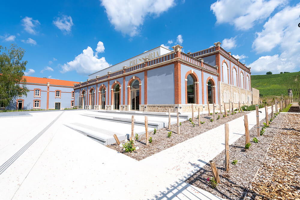 We see the blue and brick facade of the Pressoria building with its light spotted concrete esplanade and the green vines in the background on the right.